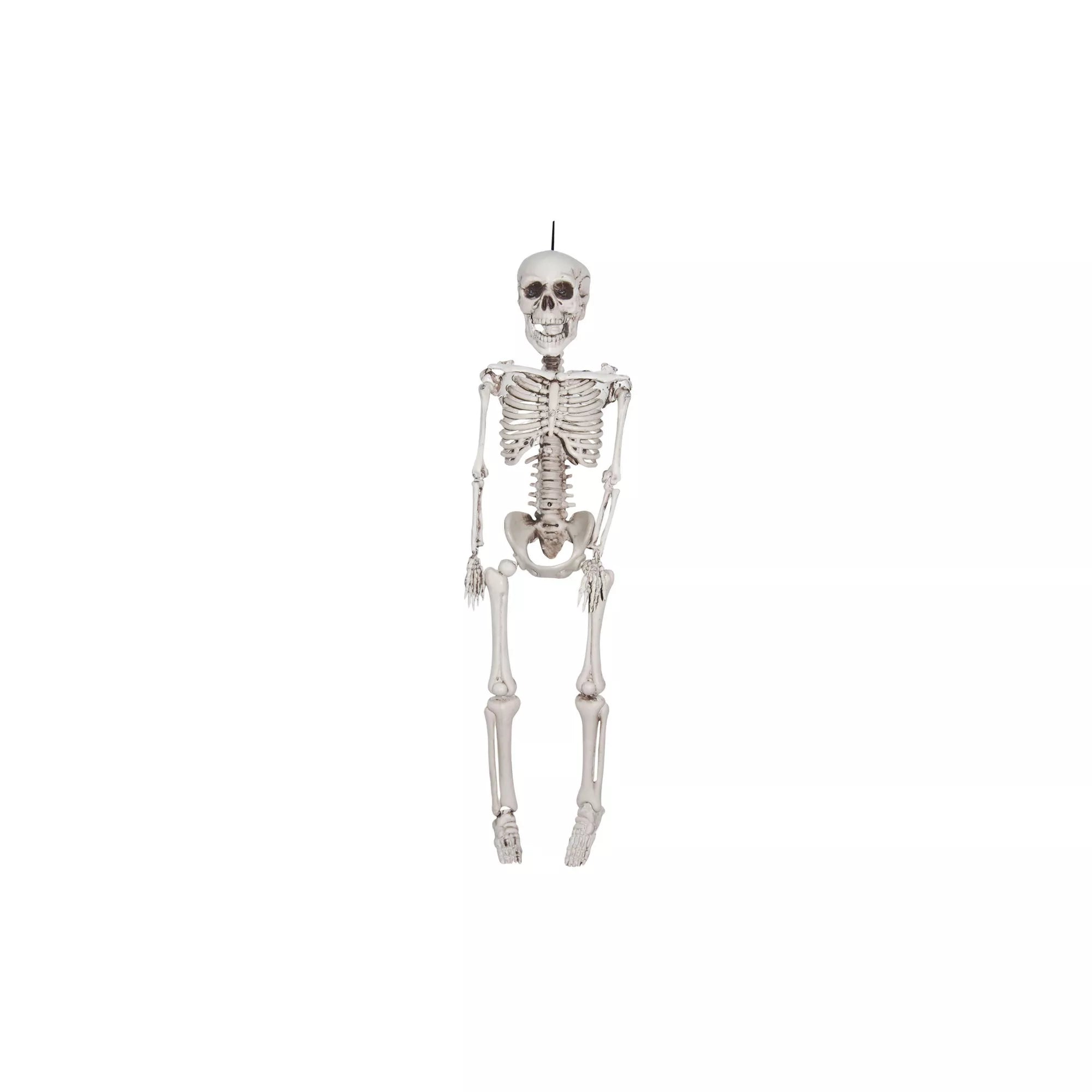 3 Ft Plastic Skeleton