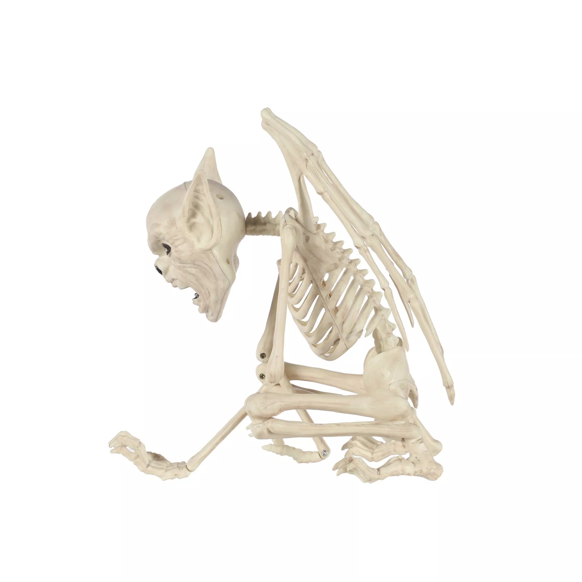 Gargoyle Skeleton