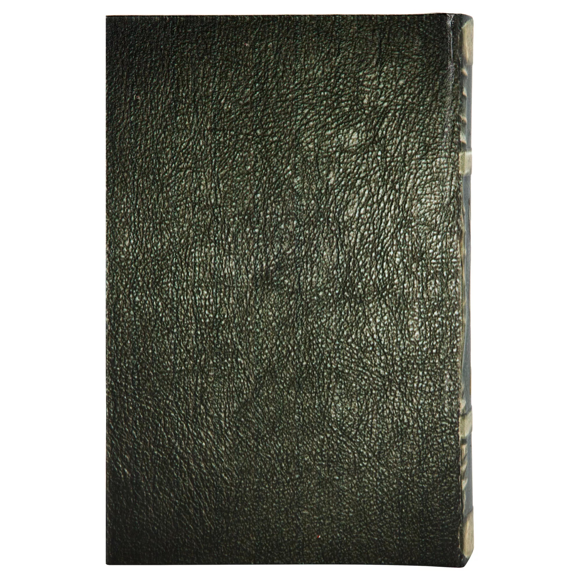 Mystical Ram Book Box